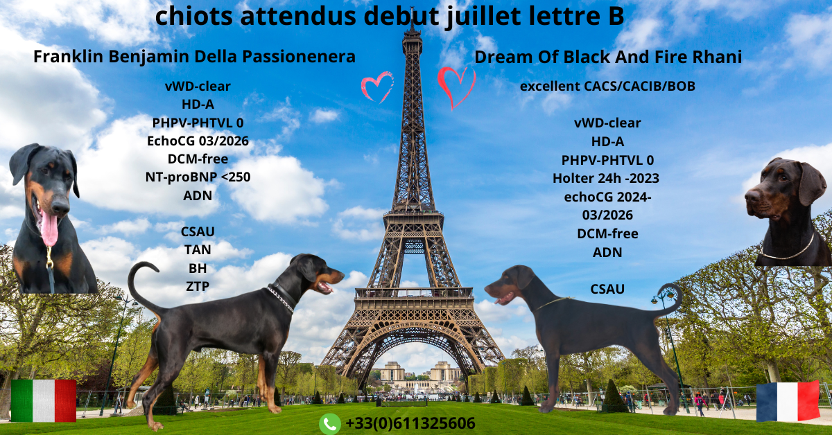 Naissance vers le 5 juillet 2026
